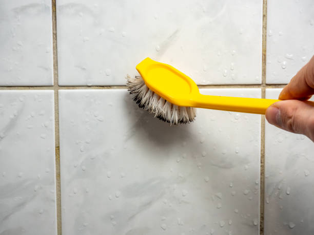 Best Mold Testing and Inspection Services in Garden City, MI