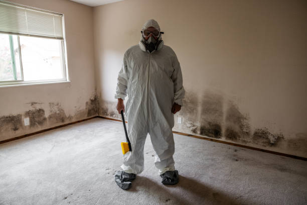 Best Residential Mold Remediation in Garden City, MI